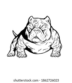 Bully Americanbully Logo Dog Pitbull