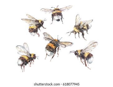 2,596 Bumblebee watercolor Images, Stock Photos & Vectors | Shutterstock