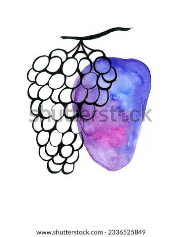 A bunch of grapes on a branch. Drawing with a black outline with partial overlapping on a colored spot. Blue and purple colors. Watercolor blur. Grapes isolated on white background.