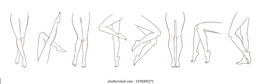 Bilder, Stockfotos und Vektorgrafiken Women Different Leg Shapes ...