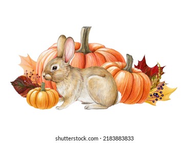 Bunny With Autumn Rustic Style Decor. Watercolor Illustration. Hand Drawn Cozy Fall Decor With Orange Pumpkins, Golden Leaves, Bunny. Rustic Vintage Style Decor