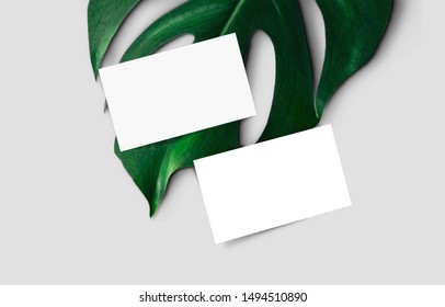 Business Card Mock Up | Minimal Green Leaf Visiting Card Mock Up 