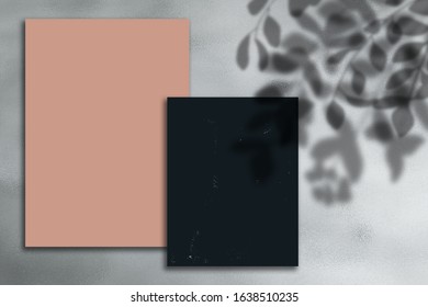 Business card template with botanical shadow. Minimalistic design. Modern mockup. Design for card, invitation, info banner frame, title sheet, presentation, menu. Copy space. Place for text and design - Powered by Shutterstock