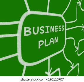 business plan meaning in company