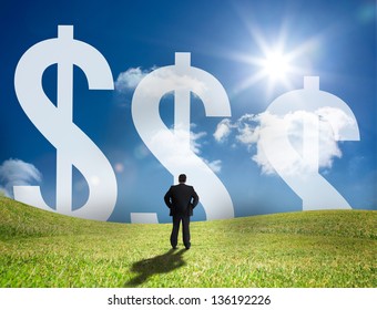 Businessman Looking At Three Large Dollar Signs On The Horizon And Standing In A Sunny Field