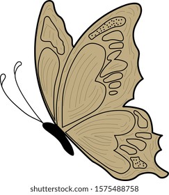 Butter Fly Design In White Background 
