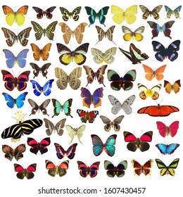 76,771 Butterflies and moths Stock Illustrations, Images & Vectors ...