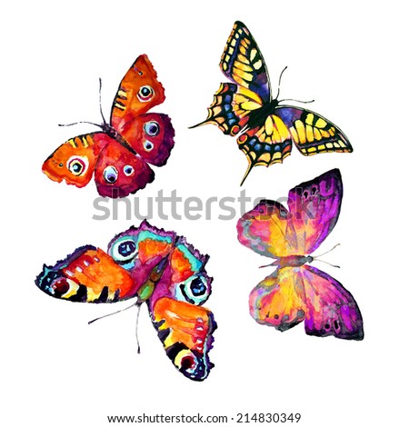 butterflies design
