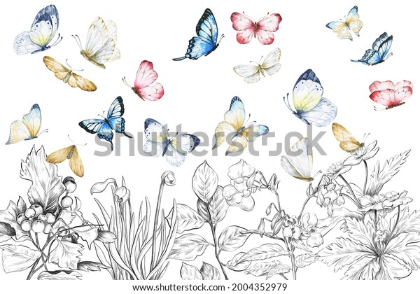 Butterflies and flowers on white background. Watercolor vintage illustration. Wall mural.