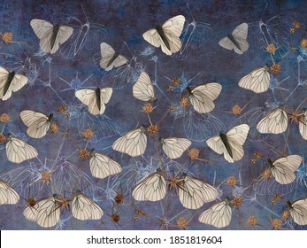Butterflies on thorns painted on the dark blue grunge wall. Beautiful design for postcard, picture, mural, wallpaper, photo wallpaper.