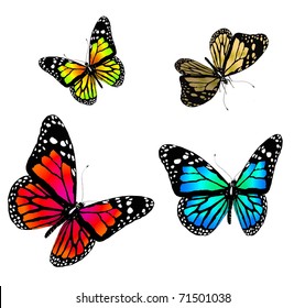 Colorful Butterflies Stock Photo 46110427 | Shutterstock