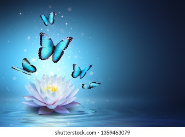 Butterflies And Waterlily In Water - Beauty Miracle - illustration
