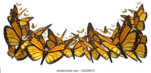 Butterfly Border Design Element Isolated On A White Background As A Symbol Of The Beauty Of Nature With A Group Of Monarch Butterflies Flying Together.