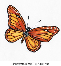 Monarch Butterfly Card Flat Illustration Vintage Stock Illustration 