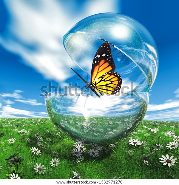 bubble butterfly