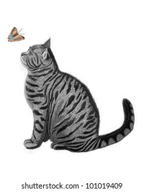 	Butterfly and the Cat