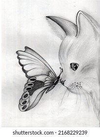 The Butterfly  