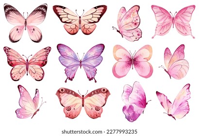 Butterfly collection. Watercolor illustration. Colorful Butterflies clipart set. Pink butterfly. Girl baby shower design elements. Party invitation, birthday celebration. Spring or summer decoration - Powered by Shutterstock