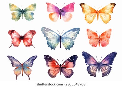 Colección mariposa  Ilustración