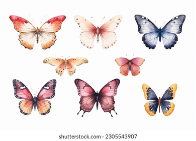 Colección mariposa  Ilustración