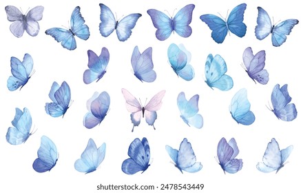 Colección mariposa  Ilustración