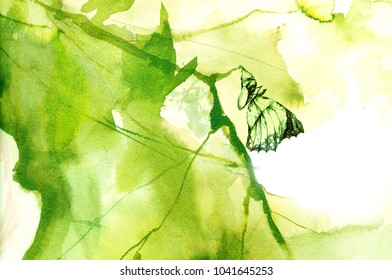 A Butterfly Coming Out Of The Chrysalis.
Abstract Watercolor. Handmade Illustration Art.