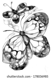 Butterfly Drawingdigital Painting Stock Illustration 178036985