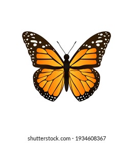 74,911 Monarch butterfly white background Images, Stock Photos ...