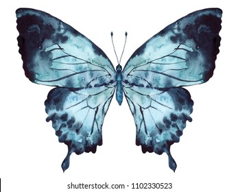 Papillon Bleu Images Stock Photos Vectors Shutterstock