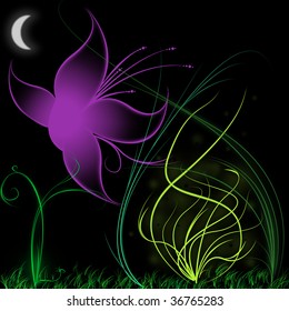 	 butterfly night