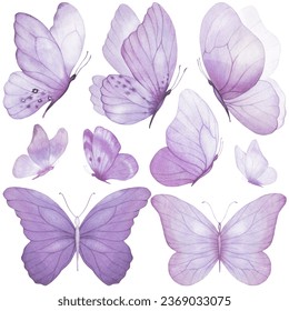 Butterfly violet colorful watercolor watercolour poster print painting art room decor wall design abstract inspiration palette sketch nature study artist inspired summer spring wedding insect wings  - Powered by Shutterstock