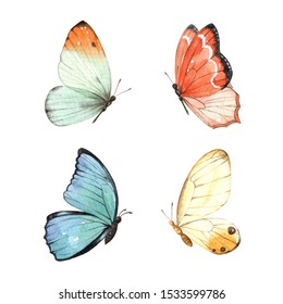 Butterfly Watercolour Clip Art For Wedding Invitation Or Greeting Cards