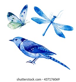 butterfly,dragonfly and blue bird on a white background. Watercolor illustration on paper