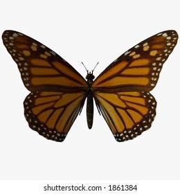 Butterfly-Monarch