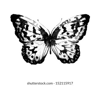 butterfly,watercolor design