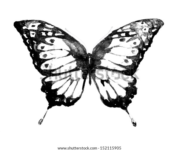 Butterflywatercolor Design Stock Illustration 152115905 | Shutterstock