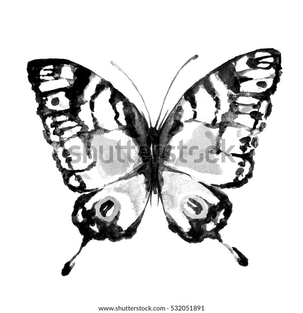 Butterflywatercolor Isolated On White Stock Illustration 532051891 ...