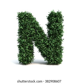 Buxus Alphabet