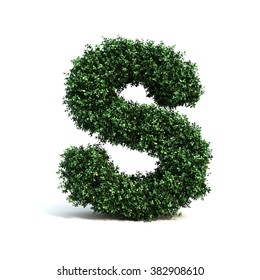 Buxus Alphabet