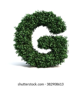 Buxus Alphabet