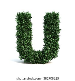 Buxus Alphabet