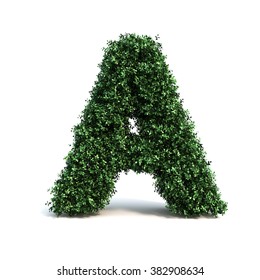 Buxus Alphabet