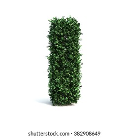 Buxus Alphabet