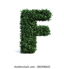 Buxus Alphabet