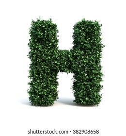 Buxus Alphabet