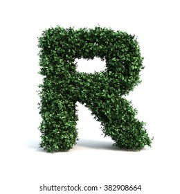 Buxus Alphabet