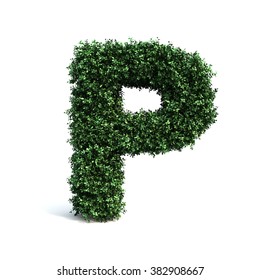 Buxus Alphabet