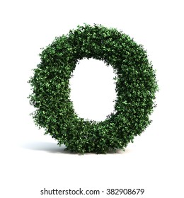 Buxus Alphabet