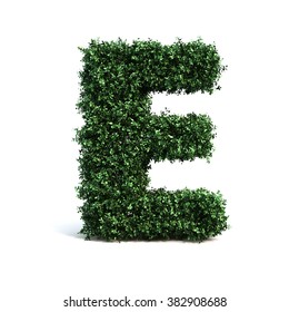 Buxus Alphabet