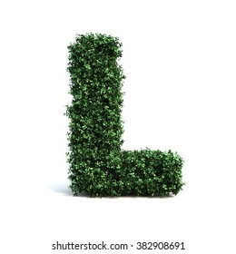 Buxus Alphabet